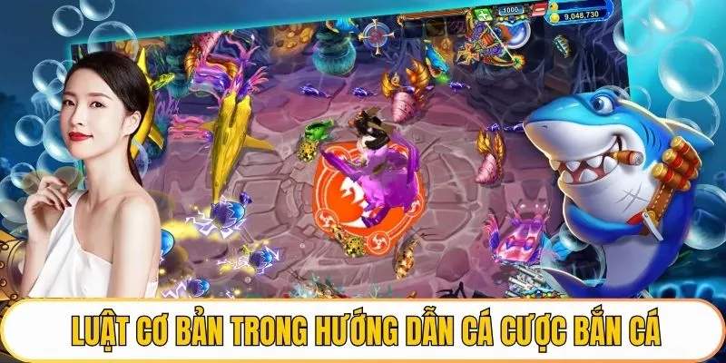 Luật cơ bản trong hướng dẫn cá cược bắn cá