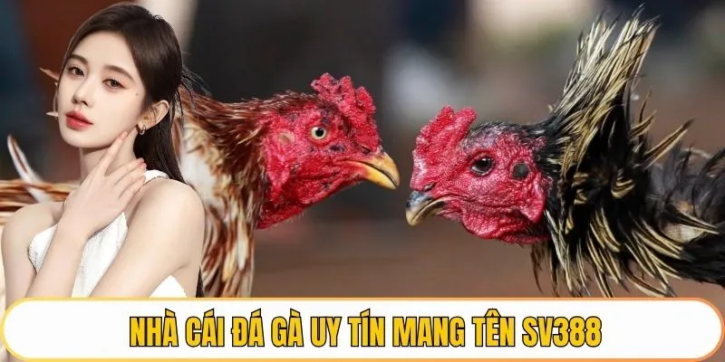 Nhà cái đá gà uy tín mang tên SV388