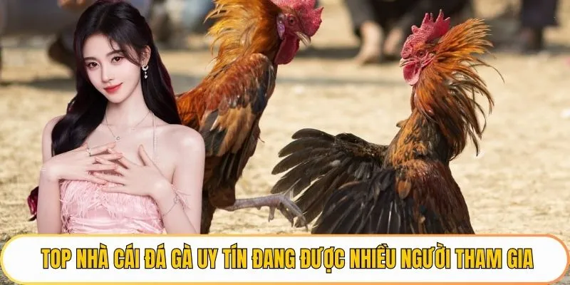 Top nhà cái đá gà uy tín đang được nhiều người tham gia
